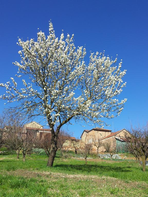 La Casa Blu Calliano (Piedmont) Exterior foto